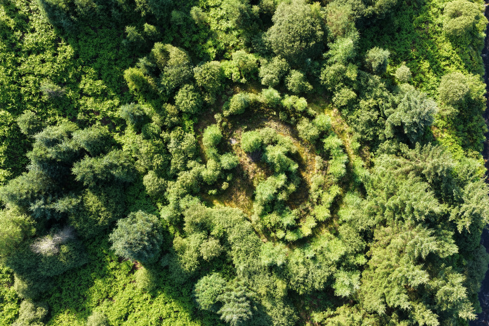 The Labyrinth or Maze, Raiders' Road, Galloway Forest Park, licensable aerial photograph